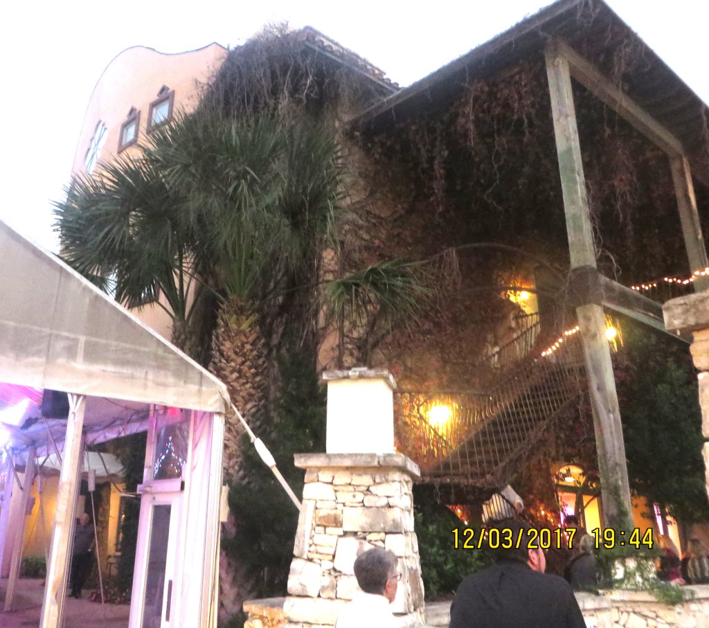 Petula Moments : from Texas Hill Country to Port Macquarie’s Coastal&nbsp;Charm